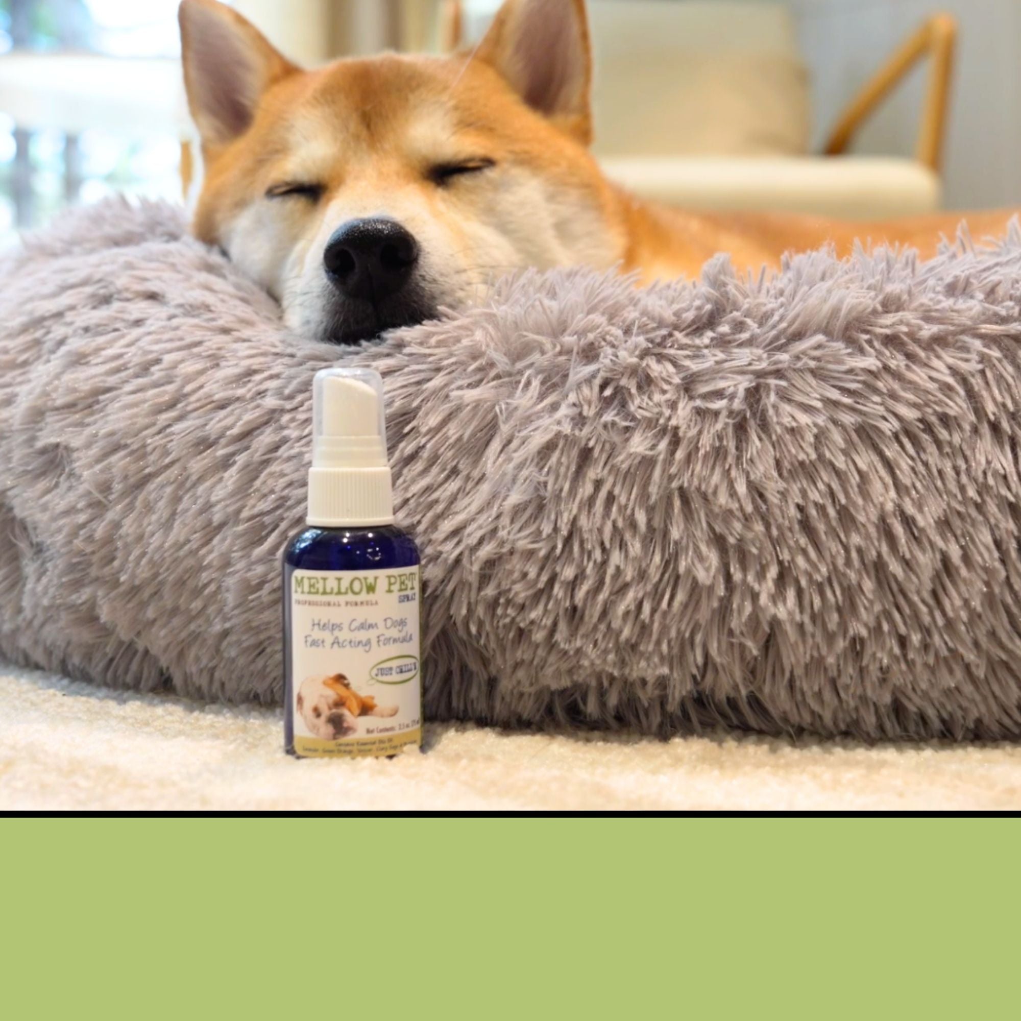 NEW！！　Mellow Summer PET Mellow Pet®