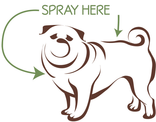 instructions diagram of pug outline showing "spray here" with arrows.