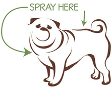 Load image into Gallery viewer, Thunderstorm | Calming Spray for Dogs
